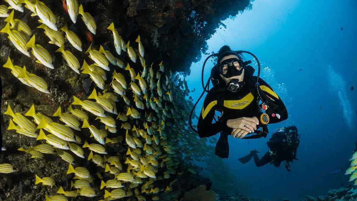 Scuba diving Nikiana, Lefkada