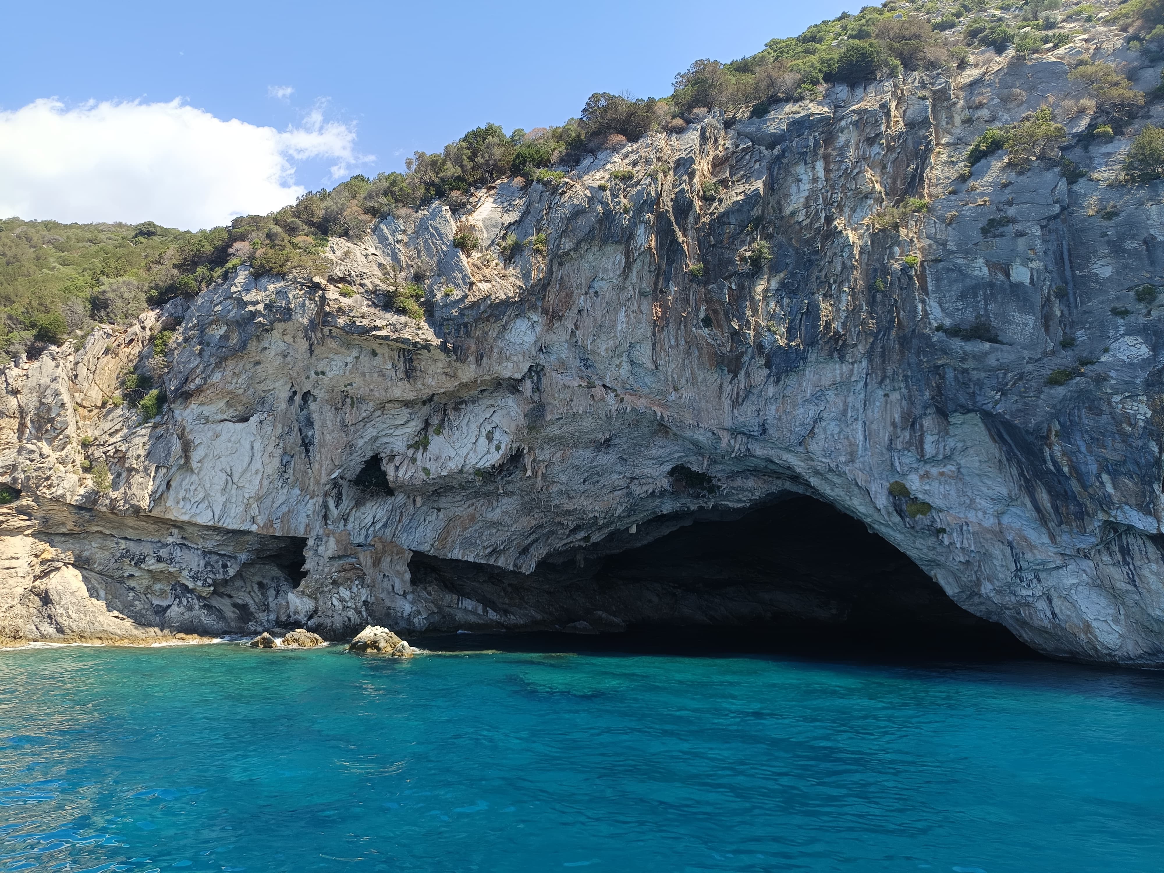 Swimming from Todo Yacht
