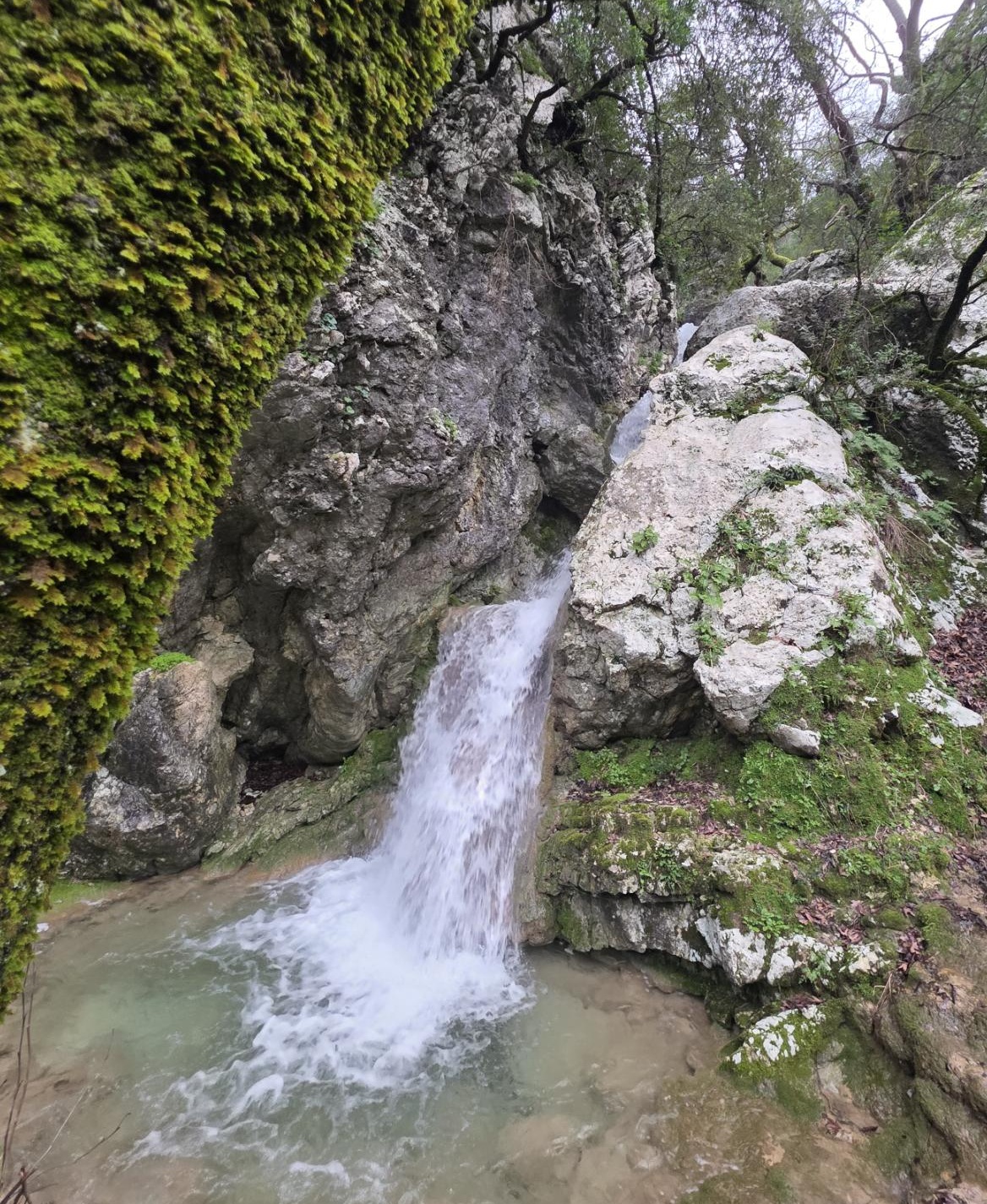 Nature