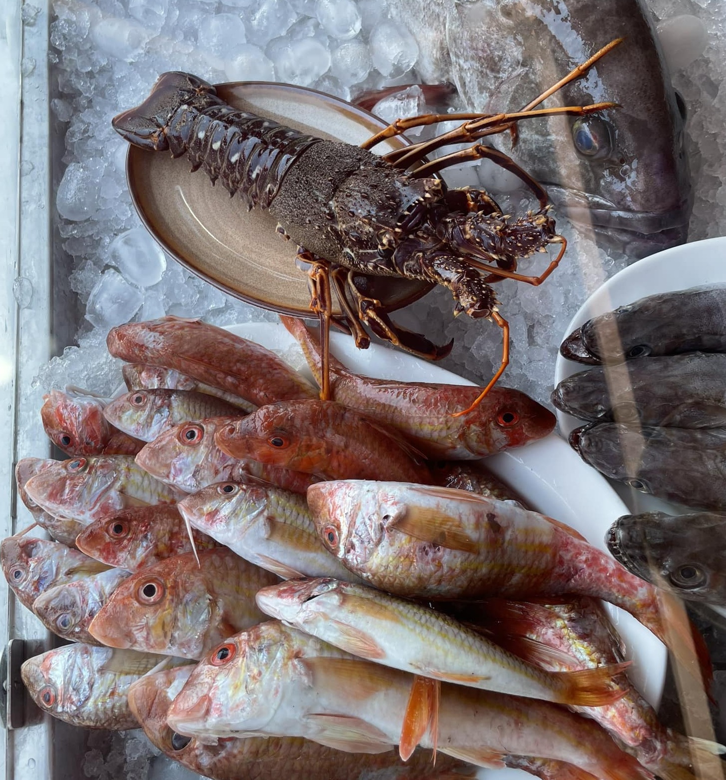 Seafood